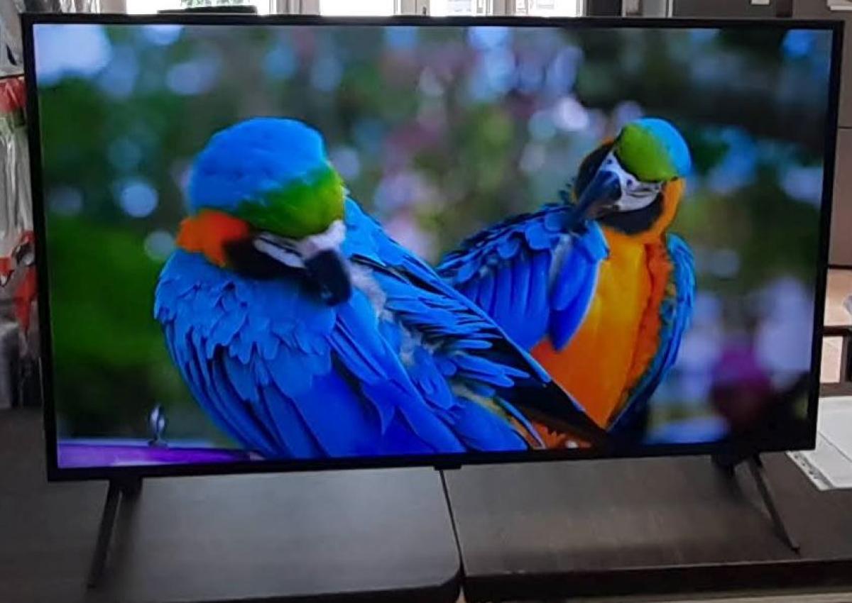 LG 43QNED80A6A