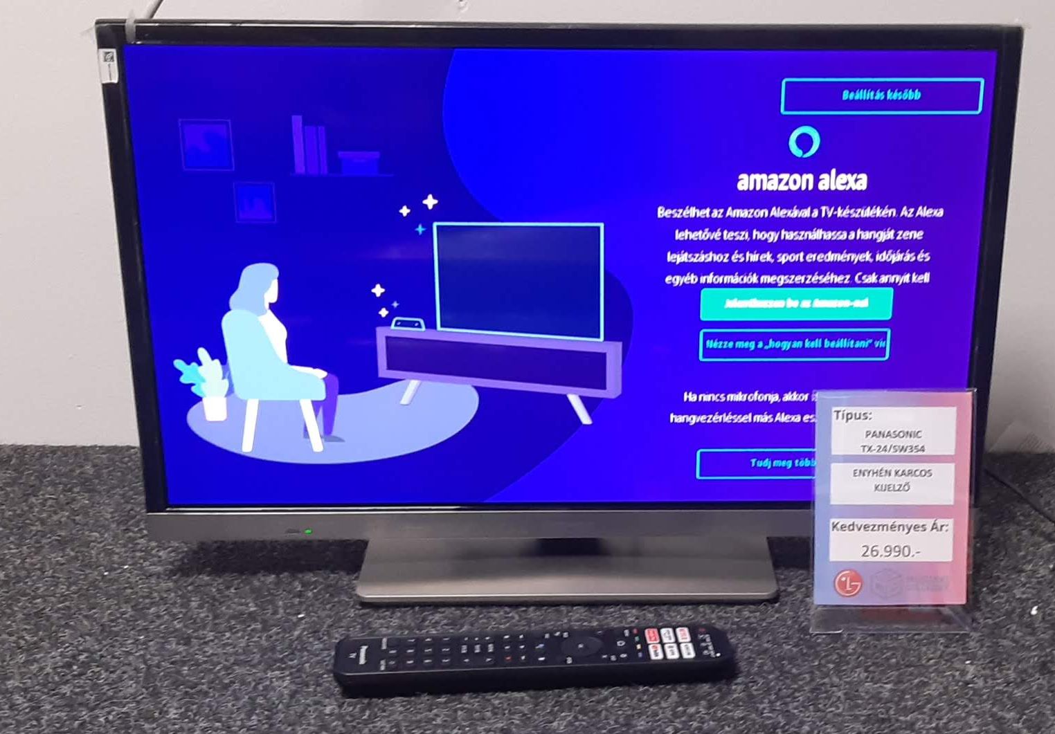 PANASONIC TX-24/SW354