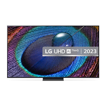 LG TV 65" 4K - 65UR91006LA.AEU