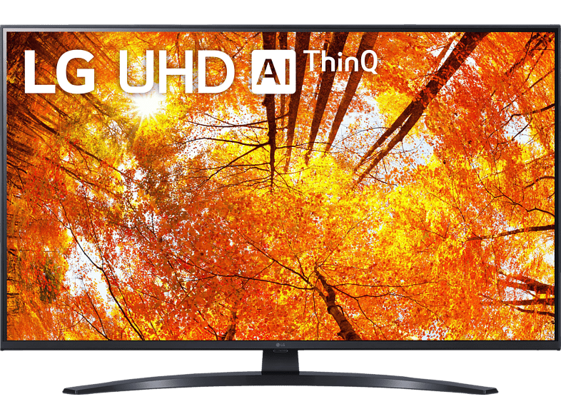 LG TV 43" 4K UHD - 43UQ91009LA.AEU